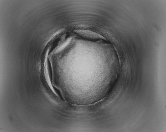 X0000113370398200910061104