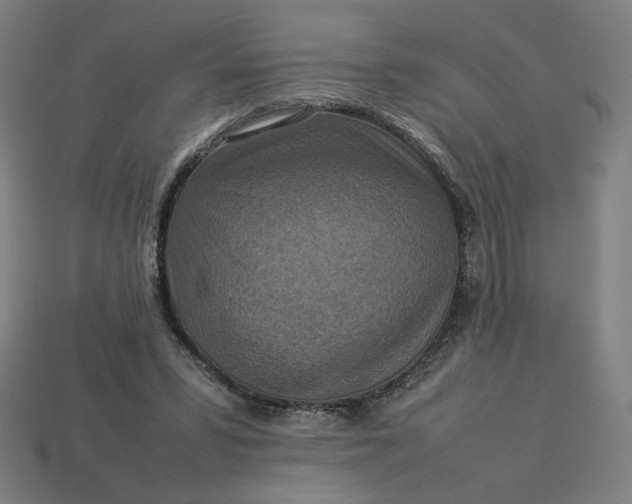 X0000113370399200910061104