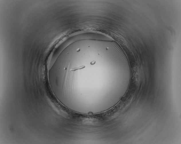 X0000113370400200910061104