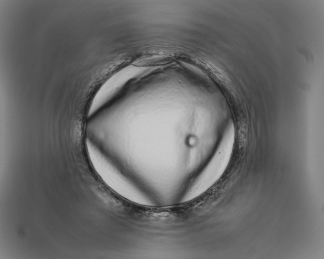 X0000113370401200910061104