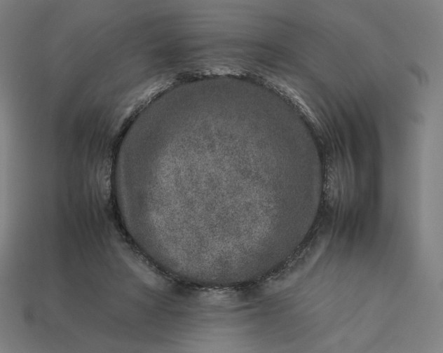 X0000113370402200910061104