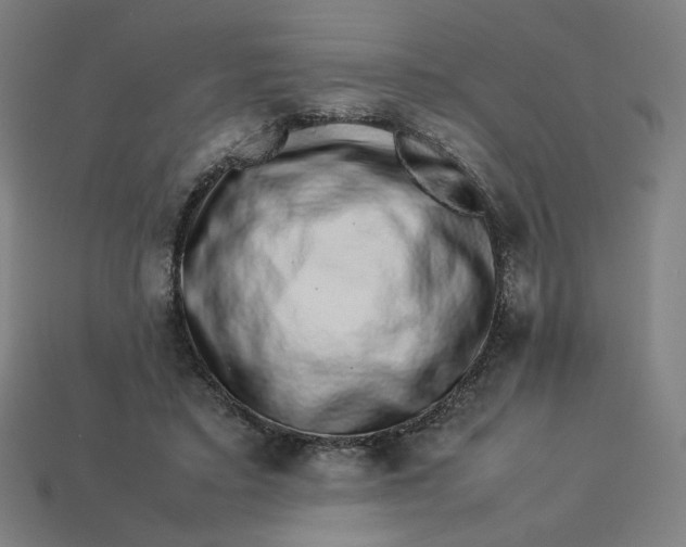 X0000113370403200910061104