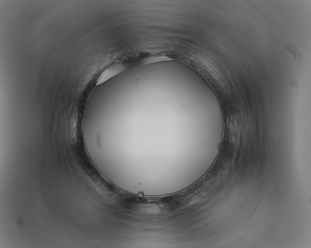 X0000113370404200910061104