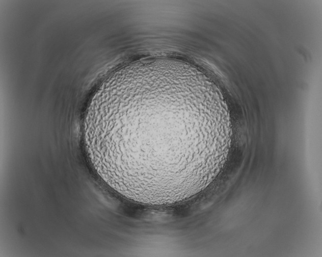 X0000113370405200910061104