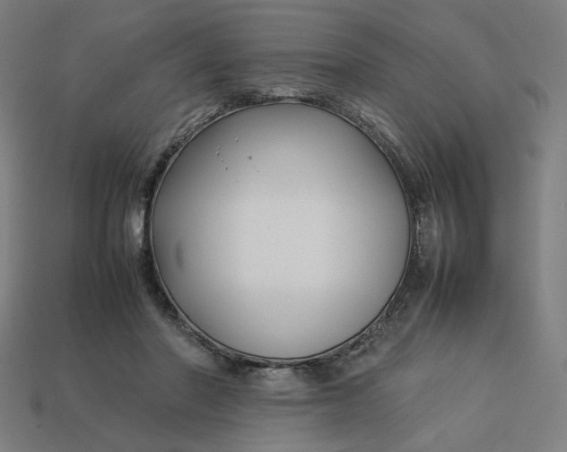 X0000113370406200910061104