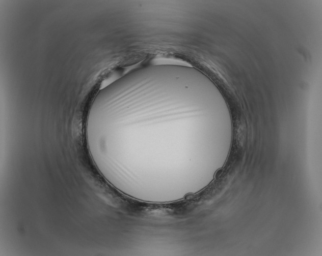 X0000113370407200910061104