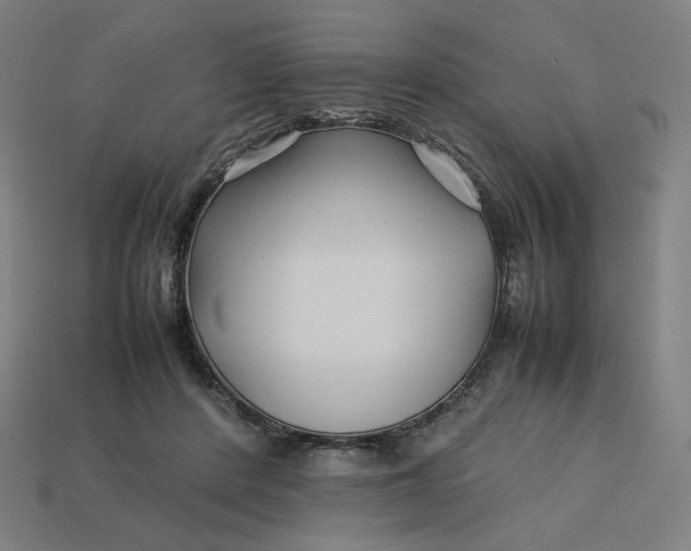 X0000113370408200910061104