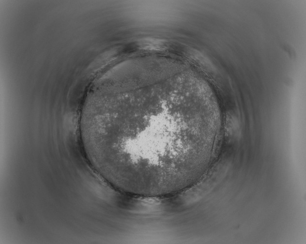 X0000113370409200910061104