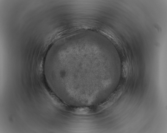 X0000113370410200910061104