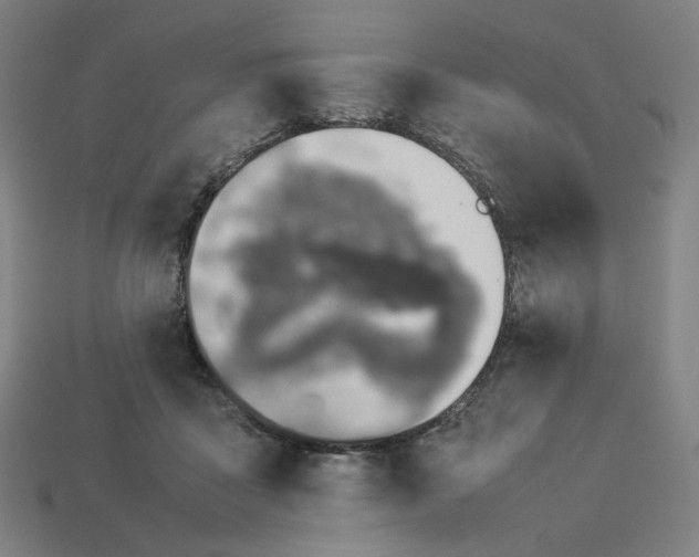 X0000113370411200910061104