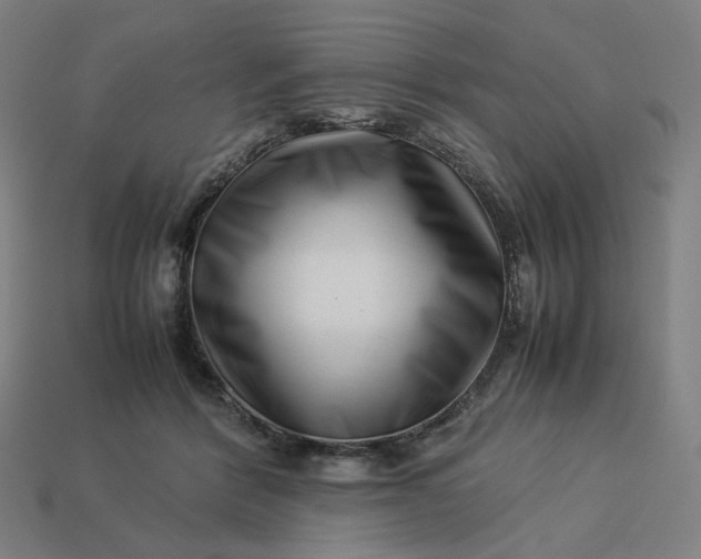 X0000113370412200910061104