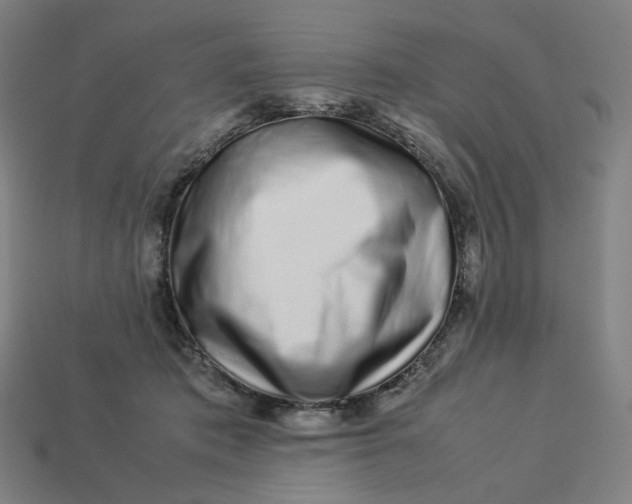 X0000113370413200910061104