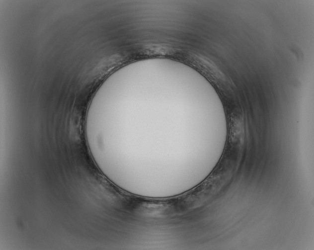 X0000113370414200910061104