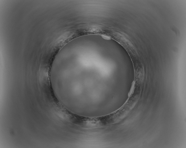 X0000113370415200910061104