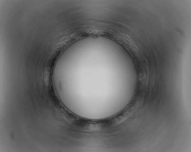 X0000113370416200910061104