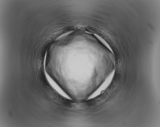 X0000113370417200910061104