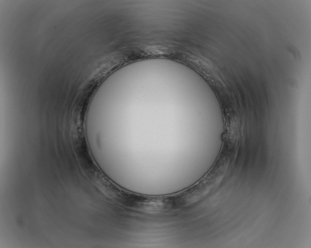 X0000113370418200910061104