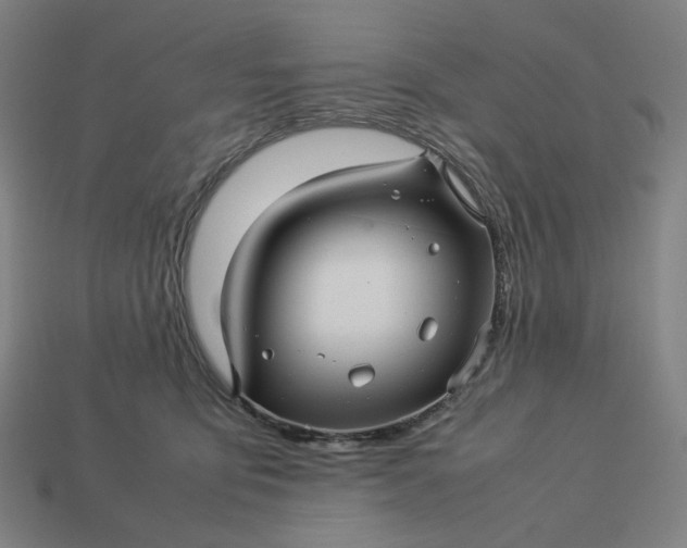 X0000113370419200910061104