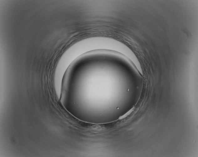 X0000113370421200910061104