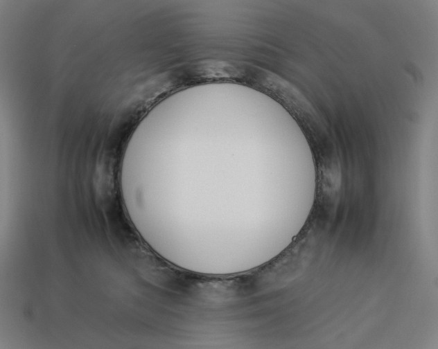 X0000113370422200910061104