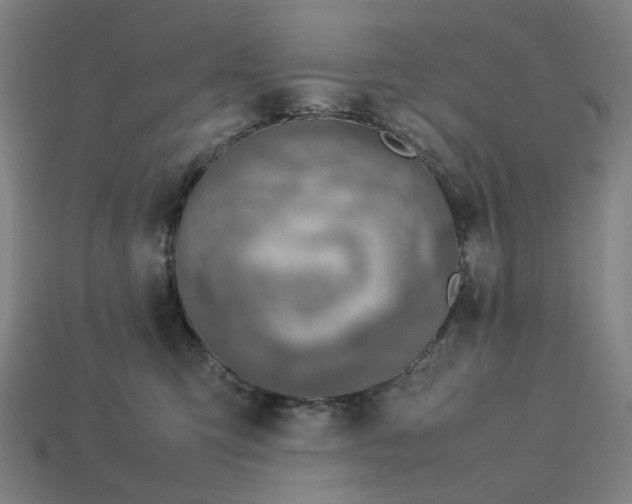 X0000113370423200910061104