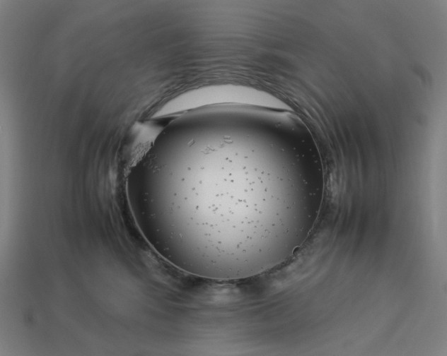 X0000113370424200910061104