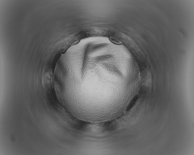 X0000113370425200910061104