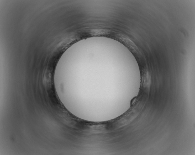 X0000113370426200910061104