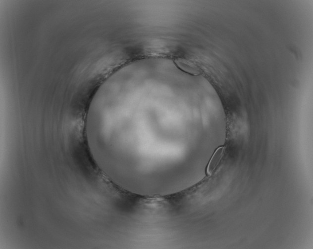 X0000113370427200910061104