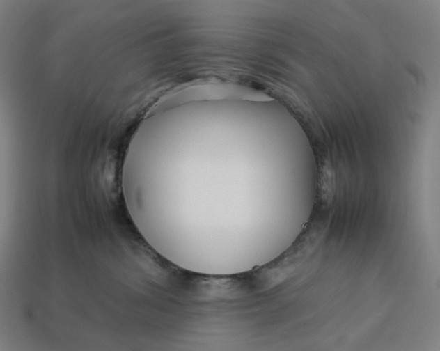 X0000113370428200910061104