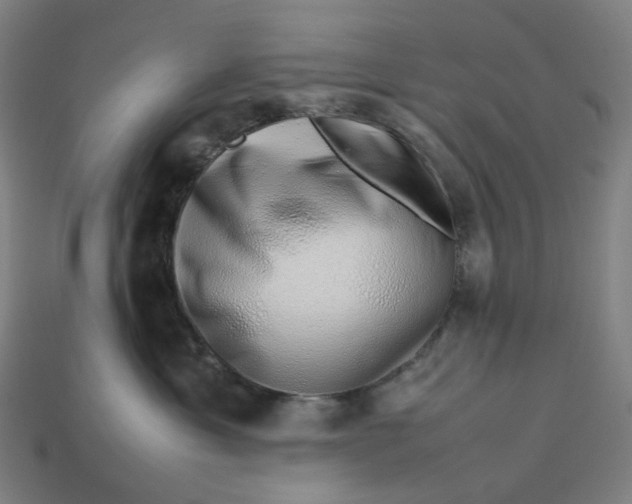 X0000113370429200910061104