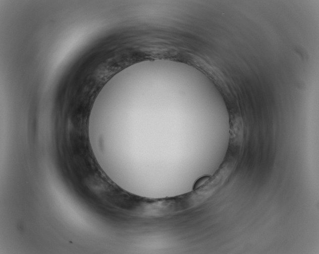 X0000113370430200910061104