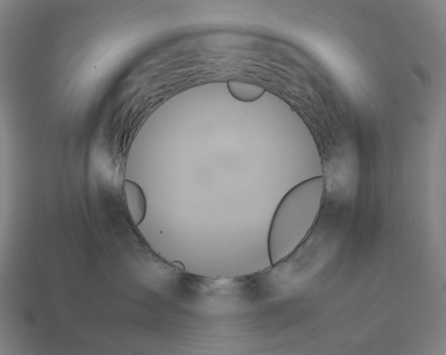 X0000113370431200910061104