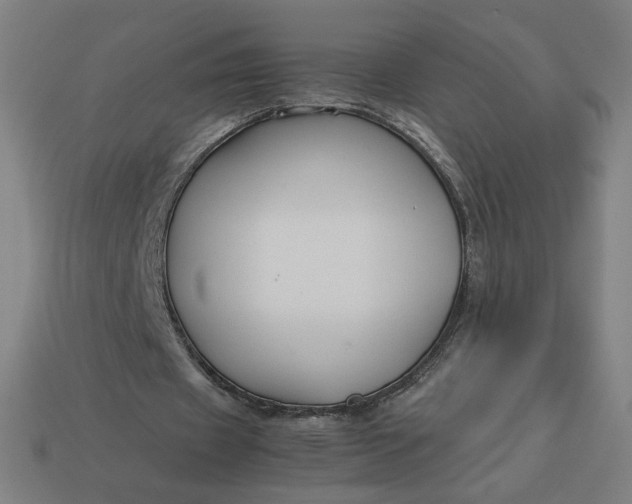 X0000113370433200910061103