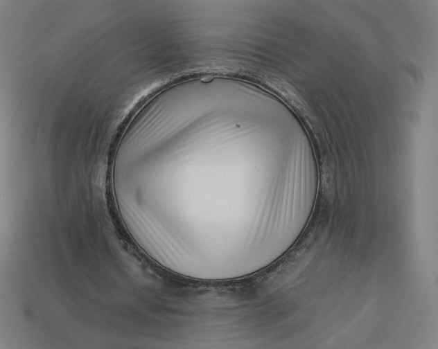 X0000113370434200910061103