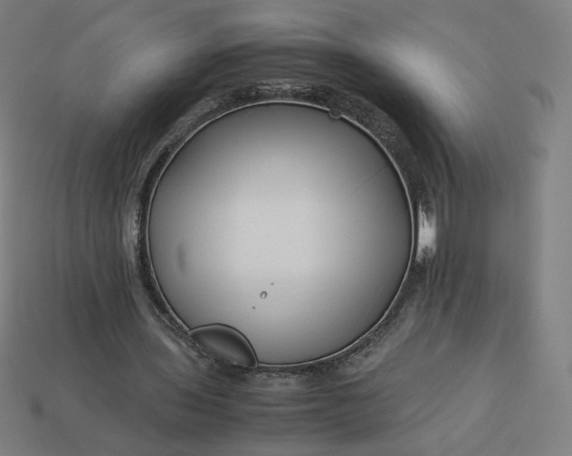 X0000113370435200910061103