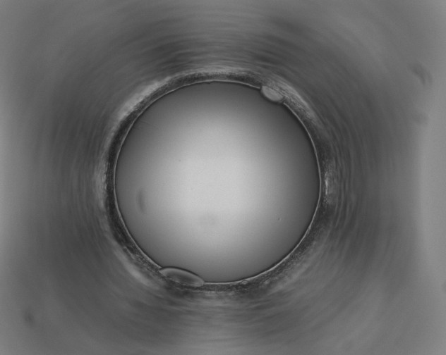 X0000113370436200910061103