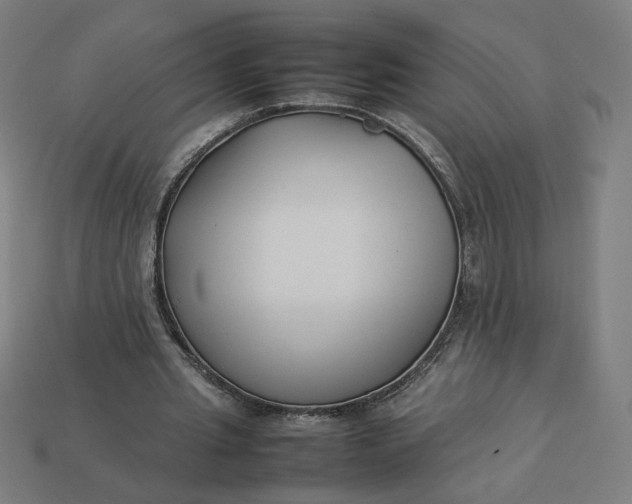 X0000113370437200910061103