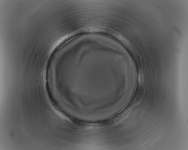 X0000113370438200910061103