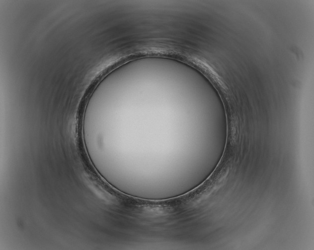 X0000113370439200910061103