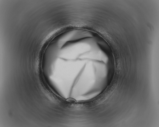 X0000113370440200910061103