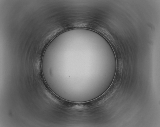 X0000113370441200910061103