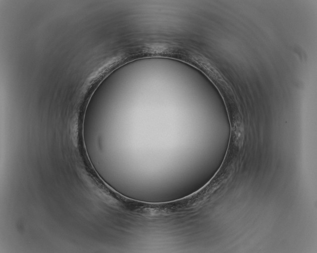 X0000113370442200910061103