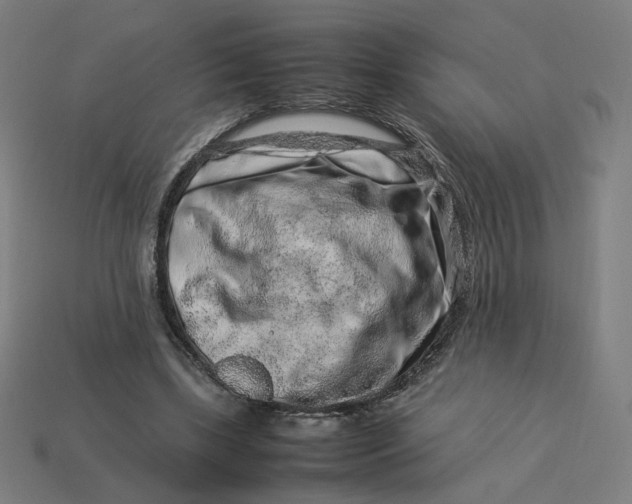 X0000113370443200910061103