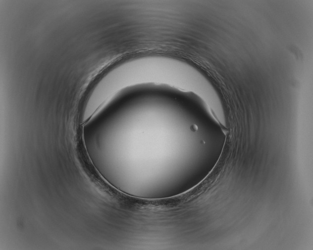 X0000113370444200910061103