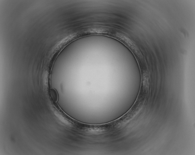 X0000113370445200910061103