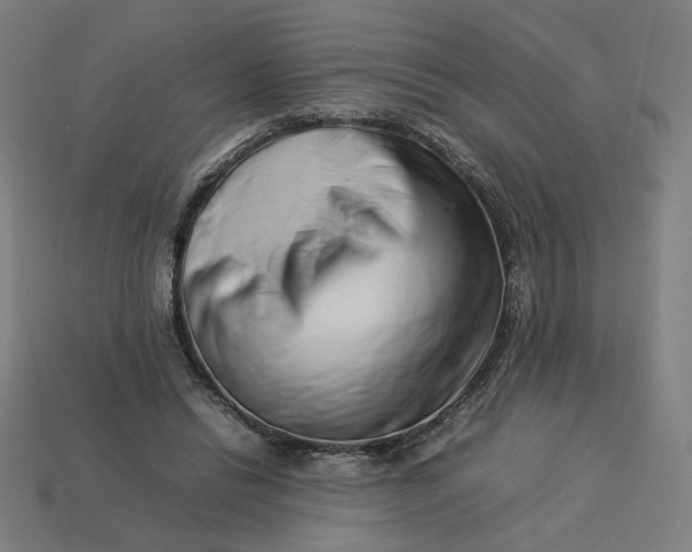 X0000113370446200910061103