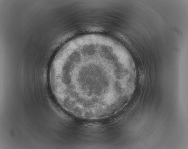 X0000113370447200910061103