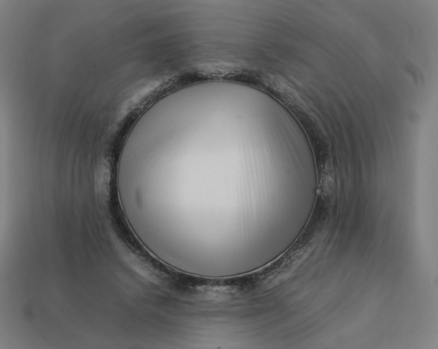 X0000113370448200910061103