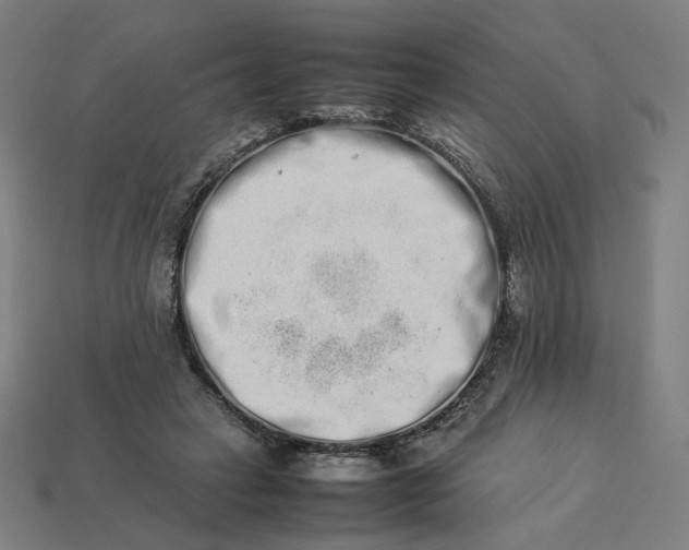 X0000113370449200910061103